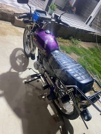 تايكر مكفول ٢٤  خمس نمر بكاني خالص سنديه   سعر ٥٧٥ رقمي 07817727717