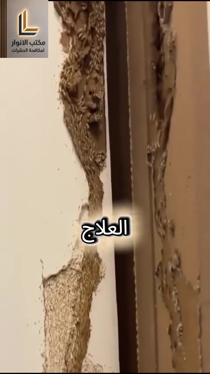 🦟 راحتك تبدأ ببيئة نظيفة وخالية من الحشرات!
لأن سلامتكم وسلامة عوائلكم هي أولويتنا، يقدم لكم مكتب الأنوار لمكافحة الحشرات أفضل الحلول الإبداعية والنهائية للقضاء على جميع أنواع الآفات بأحدث المواد الآمنة والفعالة.
نقدم ضمان لمدة 5سنوات
📍مناطق التغطية: خدماتنا تغطي كافة محافظات الوسط والجنوب (عدا محافظة البصرة).
٢ للحجز والاستفسار: ***********
الأنوار.. اختيارك الأمثل لحياة خالية من الإزعاج!✨
مكتب الانوار لمعالجة حشرة الارضة بجهاز سونار 
#العراق، #الانوار، #لمكافحة ،#الحشرات، #ضمان،  #امان، #راحة، #ثقة

