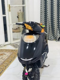 سبسي • ياباني • مجال