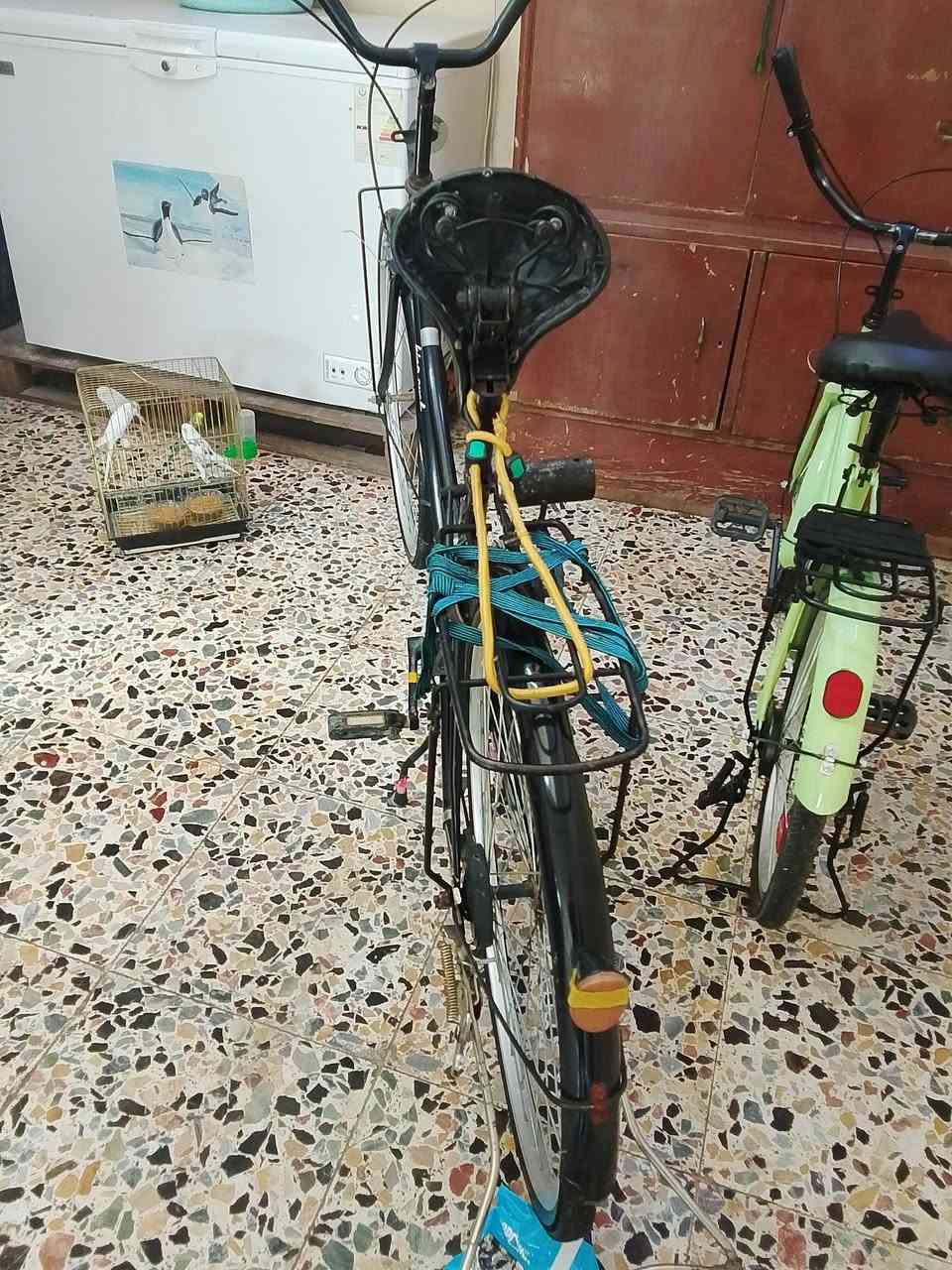 باسكل للبيع موديل 23 مراوس


**إذا كنت صاحب هذا الإعلان وتريد حذفه لأي سبب، رجاءا أرسل رسالة إلى الدعم الفني**