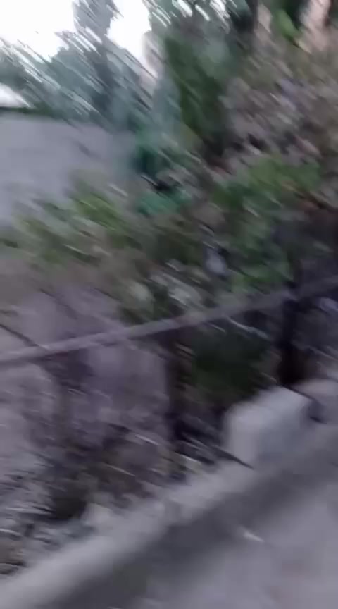 بيت للبيع مساحه ٢٥٠متر قرب مدرسة الصينيه سند زراعي حق التصرف خدمات كامله وبنص البناء سعر ٣٨مليون التواصل هاتف 📱 ☎️ او عبر #الواتس_آب
***********
***********
