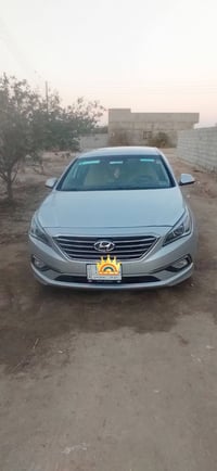 ٢٠١٥ • وارد أمريكي • جاملق امامي