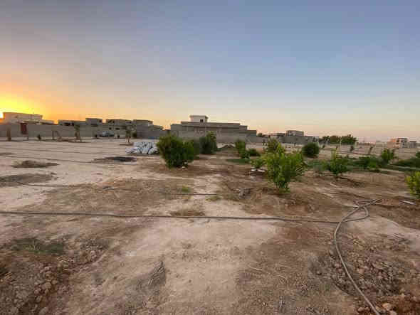 السلام عليكم 
دونم 50×50 شارع 8متر على ثلاث جهات بالقرب من شارع الزيتون في منطقة سكنية للأستفسار الاتصال على الرقم ***********/***********
