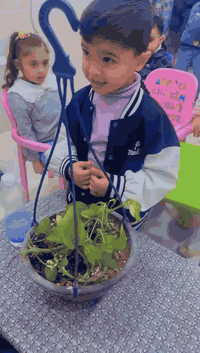 درس العلوم في روضتنا غير 🌱
في روضة وحضانة 
                      ,***براعم الزهور***
تعلّم أطفالنا اليوم عن الكائنات الحية ومتطلباتها بأسلوب ممتع وبسيط، ينمّي حب الاكتشاف والفضول العلمي لدى أطفالنا 🤍

📍 العنوان: الشارع العام مقابل أفران أبو مهدي – أفران الرحمن
👩‍🏫 بإدارة الست هِبَه
📞 للاستفسار: ***********

✨ براعم اليوم… علماء الغد
