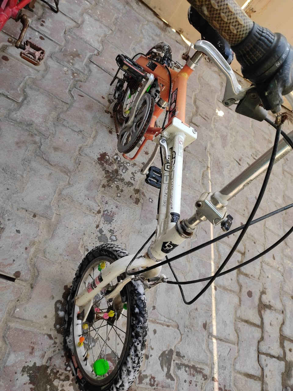 كويتي حجم ١٦ ابيعهن اثنينهن بسعر مناسب *********** 

بصره جبيله
