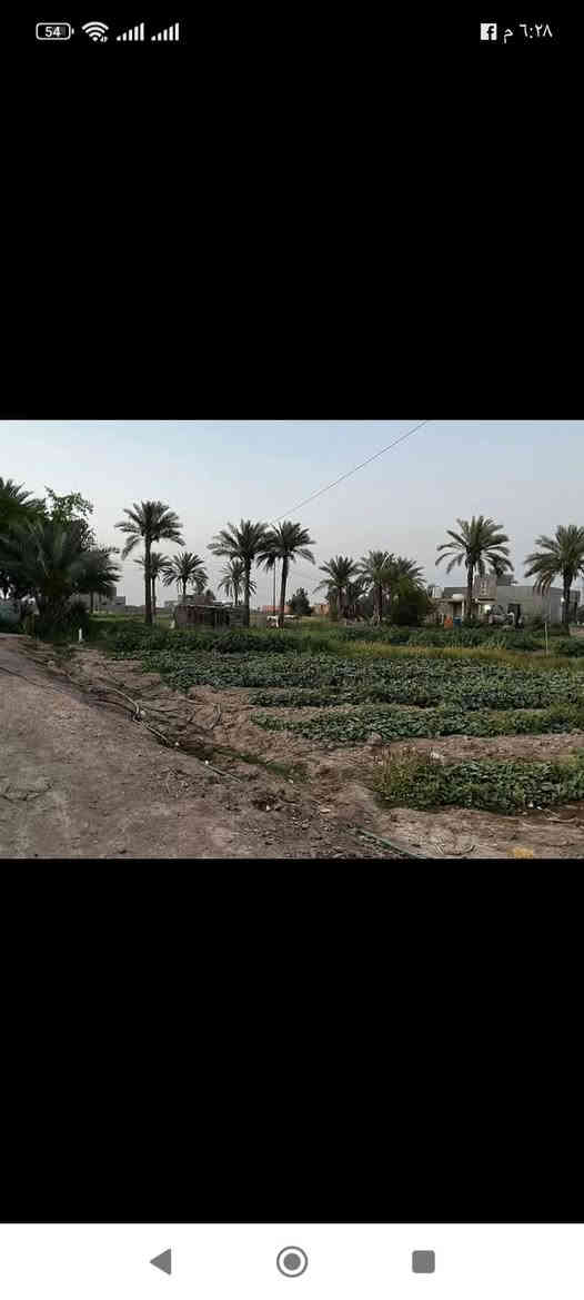 🏡 للبيع – دار مميز في الرمادي
📍 الموقع: الرمادي – جزيرة البوذياب – شارع الجرايشي
🔹 قرب مولدات أبو حكيم

جميع الخدمات تتوفر من ماء و كهرباء و مدارس و تبليط 
🏠 تفاصيل العقار:
• المساحة الكلية: 1800 متر
• مساحة البناء: 200 متر

🛏️ يحتوي الدار على:
ثلاث غرف نوم، صالة واسعة، استقبال أنيق، صحيات داخلية وخارجية، مطبخ عملي، وحديقة أمامية جميلة.

✅ يقع في منطقة هادئة
✅ تتوفر فيه كافة الخدمات
✅ دار جميل وجاهز للسكن

💰 السعر: 110 مليون دينار – قابل للتفاوض

*********** احمد علي
