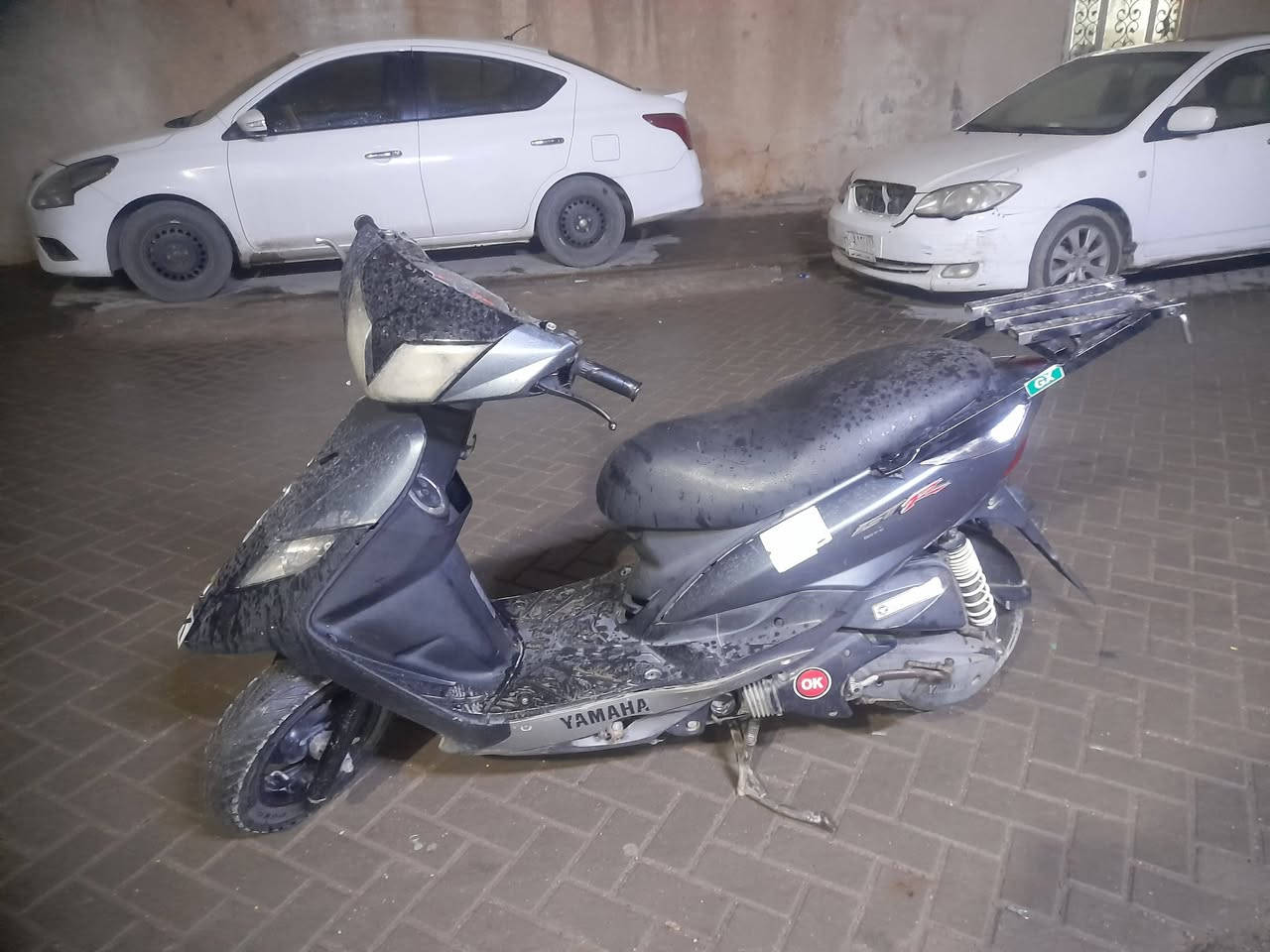 سلام عليكم ثعلب للبيع دراجه مال رمبه كفاله عامه مكينه بلاد ختم واحد كلها مكفوله مكاني بغداد سعرها 550 وبيها مجال للشراي ***********
