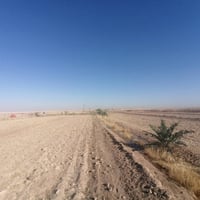 باديه السماوه • ٤٠٠ دونم • ٤٥ نخلة