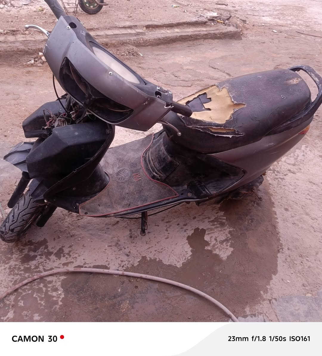 فراشه للبيع نقصها بس الكفر سعرها 200 وبيها مجال مكان ديوانيه سنيه


**إذا كنت صاحب هذا الإعلان وتريد حذفه لأي سبب، رجاءا أرسل رسالة إلى الدعم الفني**