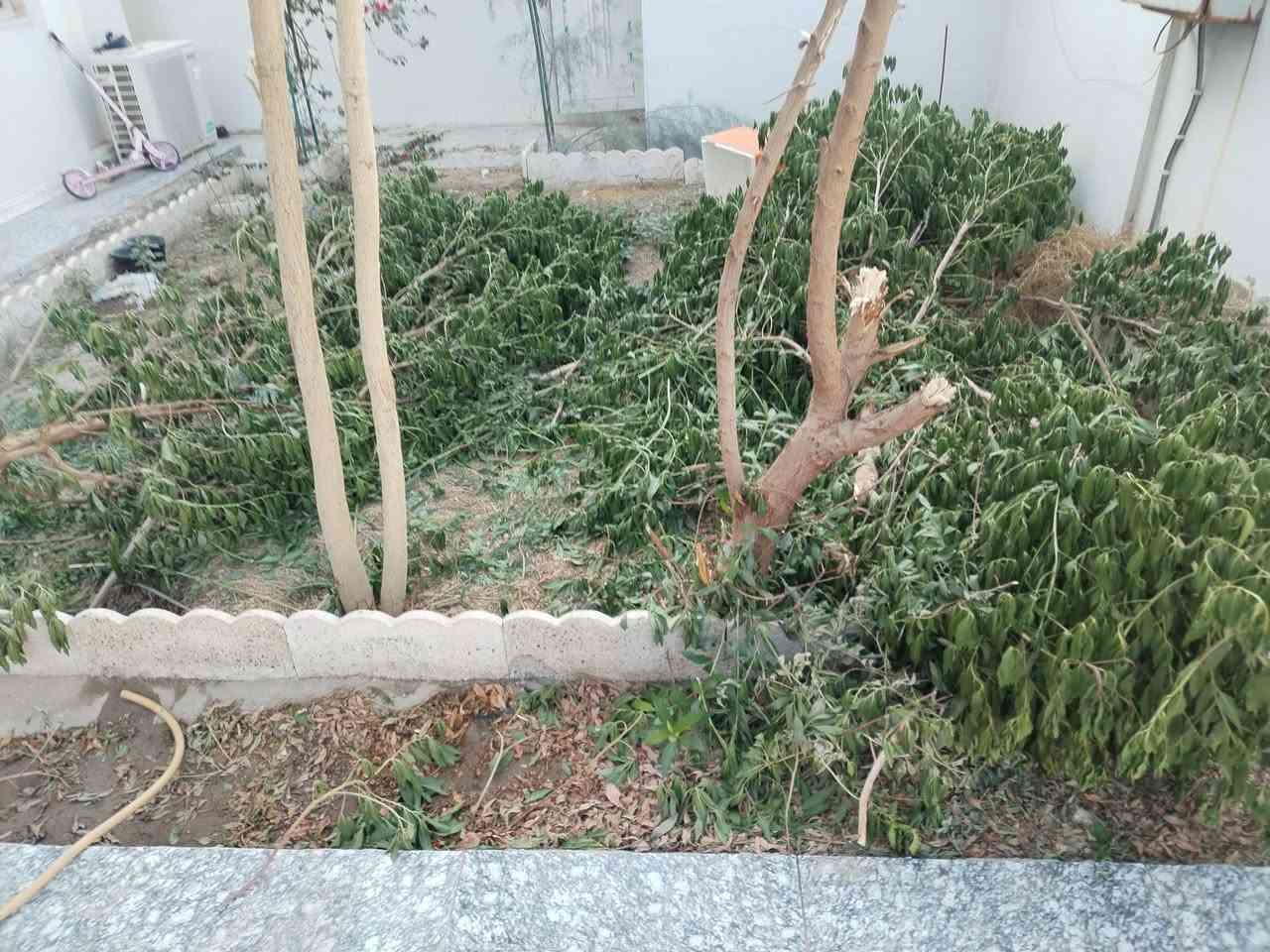 عندي ستوتة
اشتغل تنظيف السطوح من الاوساخ
تنظيف الحدائق تقليم الأشجار
رقمي ***********
