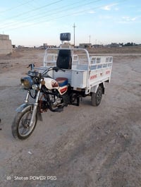 ستوتة • دلي عباس • ٢٠٢٣