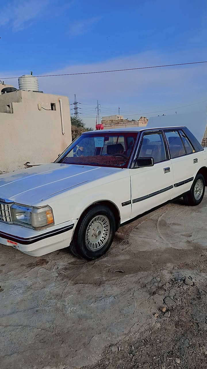 سلام عليكم سوبر موديل ٨٥ رقم انبار مشروع وطني تحويل ثاني يوم وين ما يعجبك راعي سياره يمي جيراني سياره مكفوله من عيب شرعي كير ومكينه ٢ونص كفاله تخم تاير الحداديه جديده  كهربايات فول سنويه صار شهر من منتهيه مكاني قلعة سكر  سعر ٣٥ بيها مجال رقم اتواصل ***********
