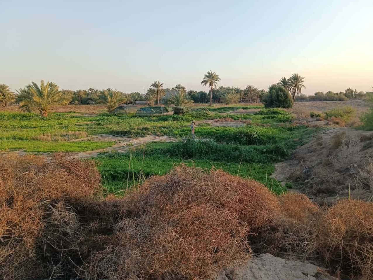 السلام عليكم  اربع دونمات لبيع بقضاء عفك مكان خان لفته على توزيع جديد مال مياحي بنهايه تبليط متوفره كل خدمات ماء كهرباء تبليط يبعد عنه ٢٠ متر  مولد شارع طابو زراعي سند ٢٥  اارض  بيه مضيف اساسه كونكريت  طوله عشر امتار  بيت ما بيه. بيه خان حلال  بيه ٧٥ نخله  ارض حلوه. مستطيله  تبعد عن سوك عفج دقيقتين  ارض مشروع   او استثمار حقول  او مخازن  او سكن   ارض مو شرط تباع كله الي يريد دونمين هم يبعونه  عادي  بس سعر يختلف ٠

للتواسل علق ب كلمة تم اجاوبك


**إذا كنت صاحب هذا الإعلان وتريد حذفه لأي سبب، رجاءا أرسل رسالة إلى الدعم الفني**