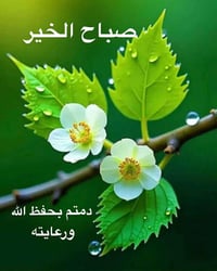 دونمين للبيع  صالحه للاستثمار  واجهه 50 نزال 100 تصلح مخزن سيراميك  او...