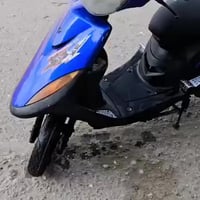 ماكس عدله • مفتوحه • عوزه كور