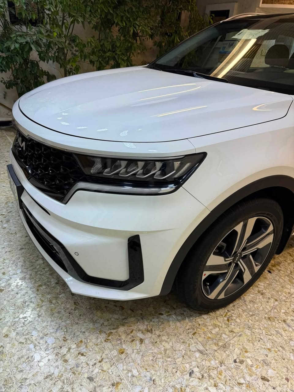 السلام عليكم 
سورنتو موديل ٢٢ خليجي 
مكفولة عده بارد قليل 
فول مواصفات 4X
محرك 6 سلندر 
ماشيه 68
رقم بغداد الجديد بسمي 
مكان السيارة بغداد 
السعر 265 بيها مجال 
الاستفسار ***********
