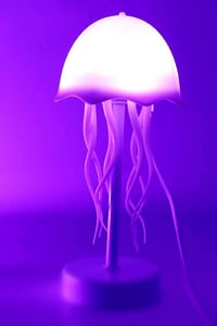 قنديل بحر • إضاءة ليلية • إضاءة ملونة