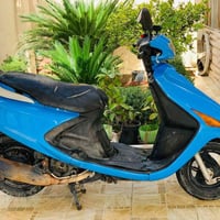 فراشة كرستال • معدل • حله مركز المدينة