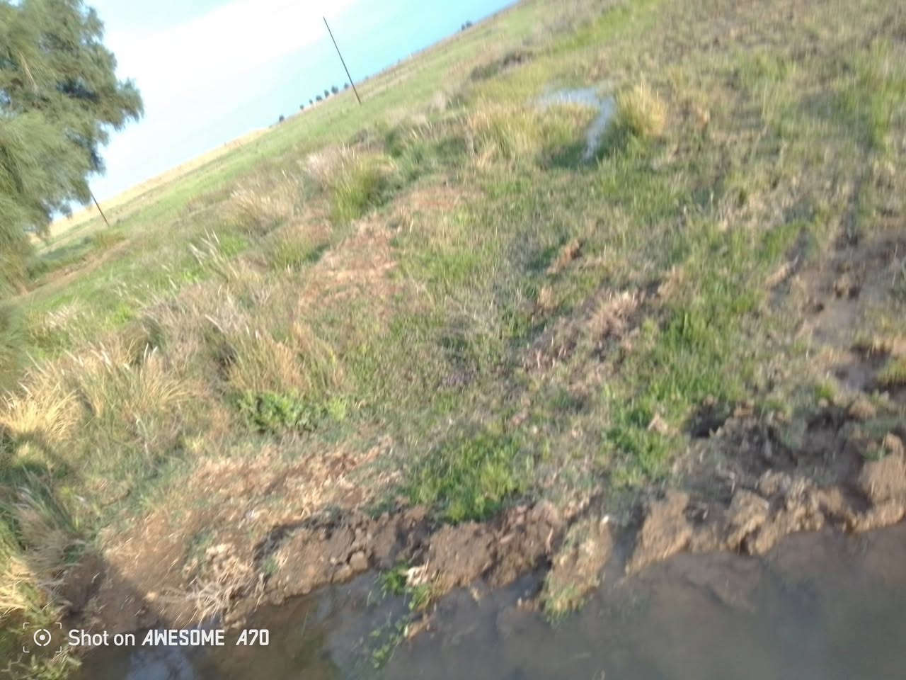 ارض زراعيه البيع 30دونم مع قطاسات  الشراي يتصل على هاذه الرقم ***********
