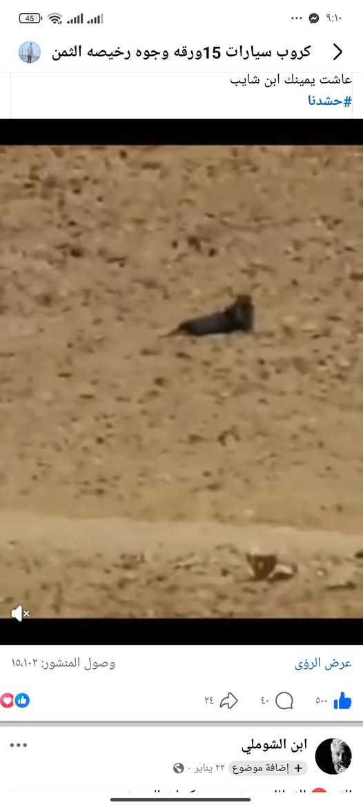 بيع مستعجل كروب بي 180676. تفاعل ونشط واسم يتغير سعره 125قفل شراي يجي خاص بيع وجه بوجه او تحويل فقط


**إذا كنت صاحب هذا الإعلان وتريد حذفه لأي سبب، رجاءا أرسل رسالة إلى الدعم الفني**