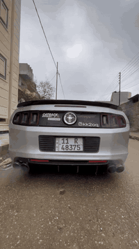 موستنك موديل 2014
مكينه كير بلادي ع رضع الشركه 
سياره نضيفه بدون نقص 
رقم مصطره هزه جديده بسمي تحويل ثاني يوم
سياره احلا من الصور تبريد تدفيه كهربايات كلو ع وضع الشركه مكاني موصل
سعر115مجال قليل 
للستفسار ***********
