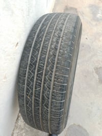 تاير استاركس • ديالى شهربان