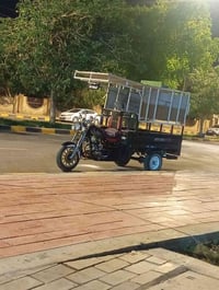 ستوته • ٢٠١٥ • كفاله عامه