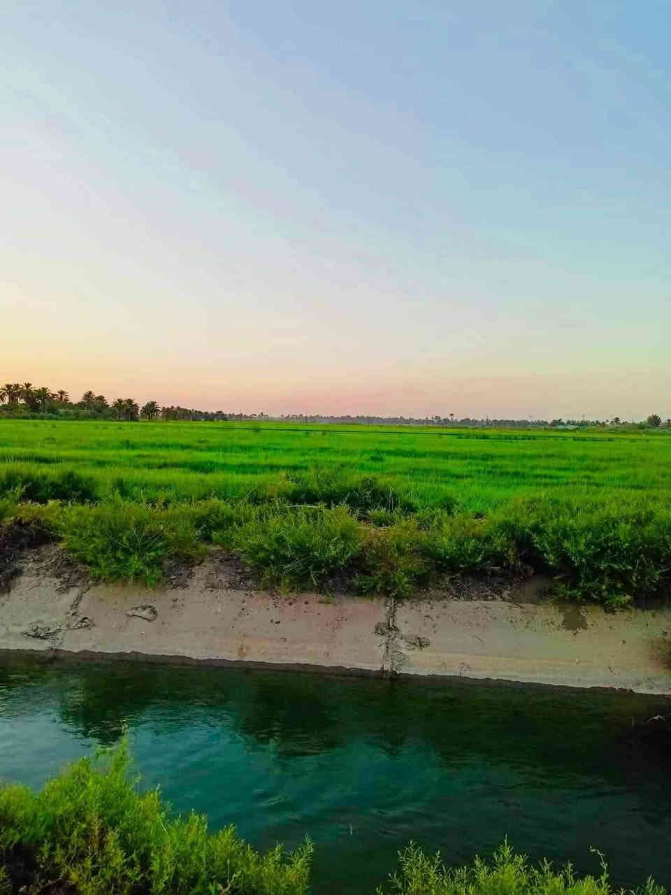 6 دوانم لأصحاب الإمكانية القليله
السعر 7  مليون للدونم الواحد قفل
اتصال واتساب بلرقم ***********
على شارع 10 متر تباع حسب الطلب
تبعد عن السوك وبنات الحسن 12 دقيقه
تاجي سبع البور منطقة الشيخ عامر بلعيساويه
عبور جسر الرعود الجسر الثاني جاهزات من كلشي
تبعد عن سبع البور 15 دقيقه
خدمات كامله كهرباء مدرسه قريبه مي سقي 
وشرط ما تدفع ولا فلس آلة بعد فتح بيان بطابو
تلفون *********** متوفر واتساب
