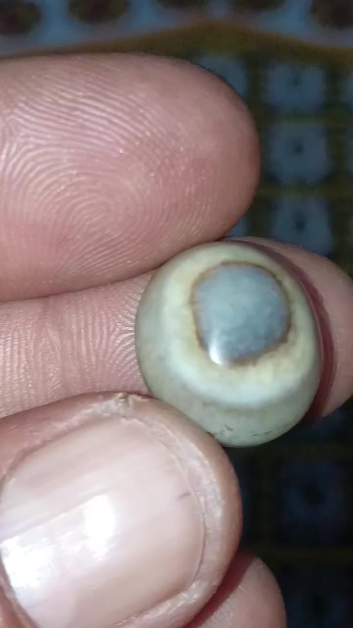 💖💖أفلح من صلى على محمد وآل محمد 💖💖
        ، 💖نوادر البقري حر قديم افغاني 💖
   للبيع على رقم *********** بي واتساب
                  اتصل ودلل ياغالي
