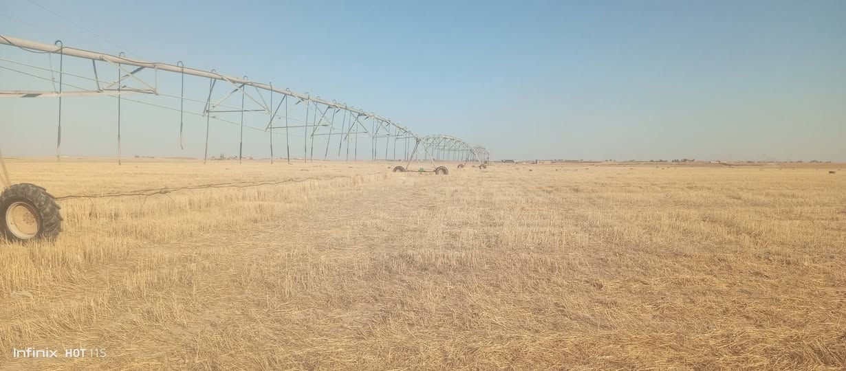مرشة اسباني ثلاث ابراج مستعملة جاهزة على الشغل للبيع نقدا اونصف المبلغ  والنصف الاخر بوعدة، الشراي الجاد فقط يتصل على‏
‪***********‬‏

