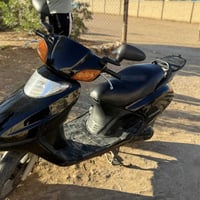 سبيسي • ياباني • كوت زورجات