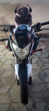 دايون • خفاش 21 • شغالة