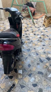 ماكس عدله • بوشة 55 • دبل امامي