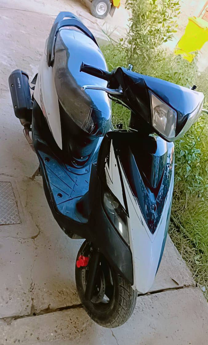 درجة ثعلب
***********
كامله أي نقص مابيه
بغداد شعله
