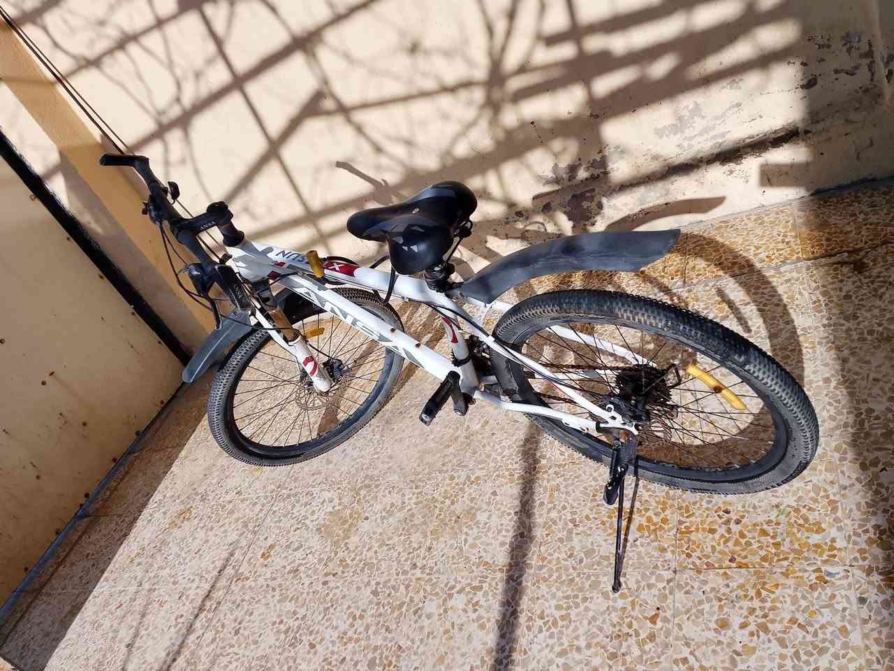 بايسكل حجم 27 سعر 75


**إذا كنت صاحب هذا الإعلان وتريد حذفه لأي سبب، رجاءا أرسل رسالة إلى الدعم الفني**