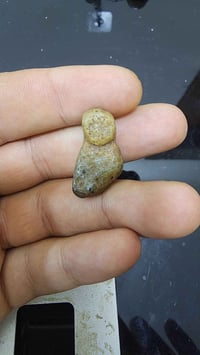 مناسب لطفل • مقاس صغير