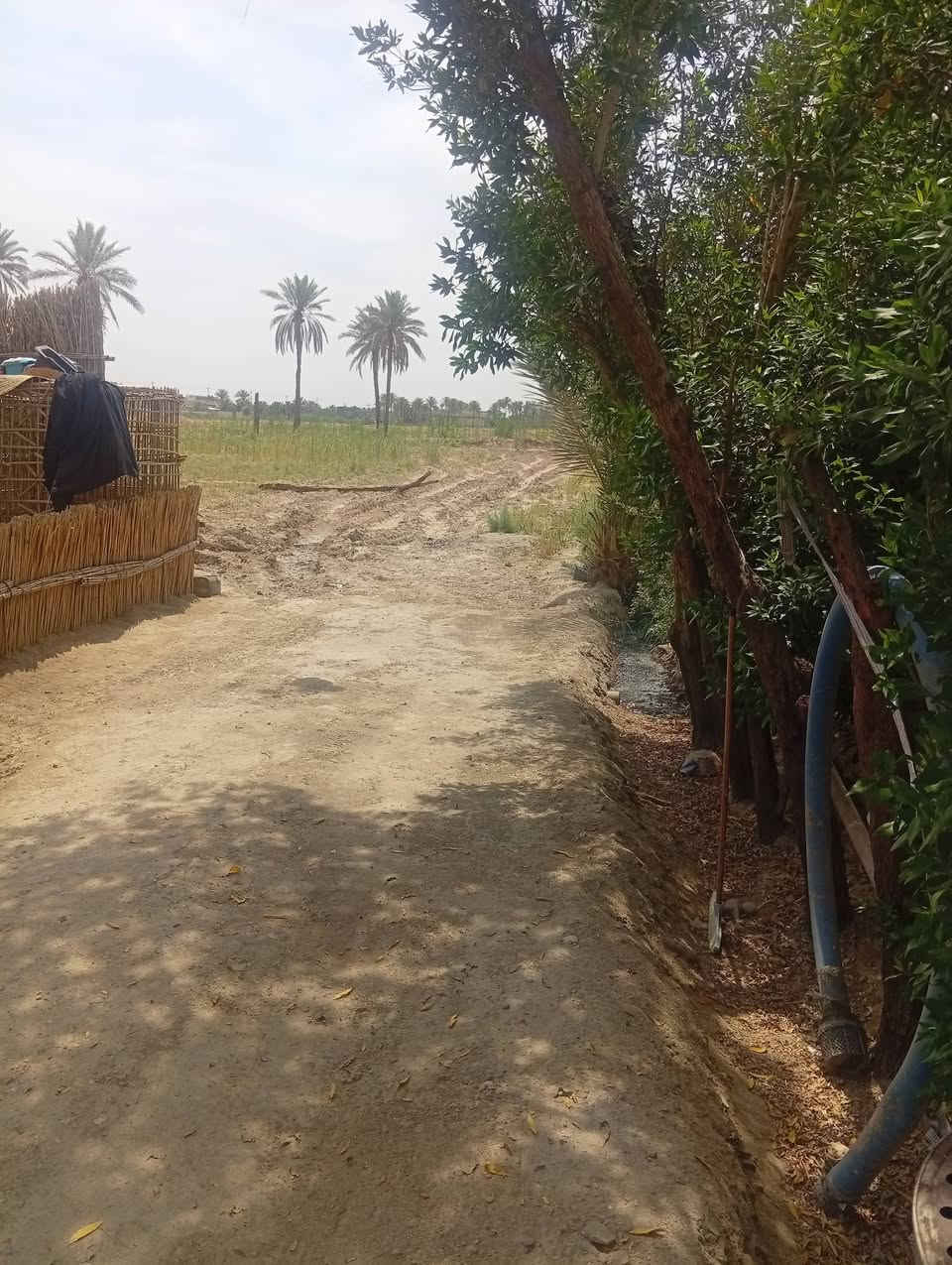 السلام عليكم بيت بطواريج بجناجه للمراوس فقط بابل الهاب بيراوس ببابل ويجي الطويريج اهلا وسهلا بيه خليه يتصل بهذا الجوال ***********
