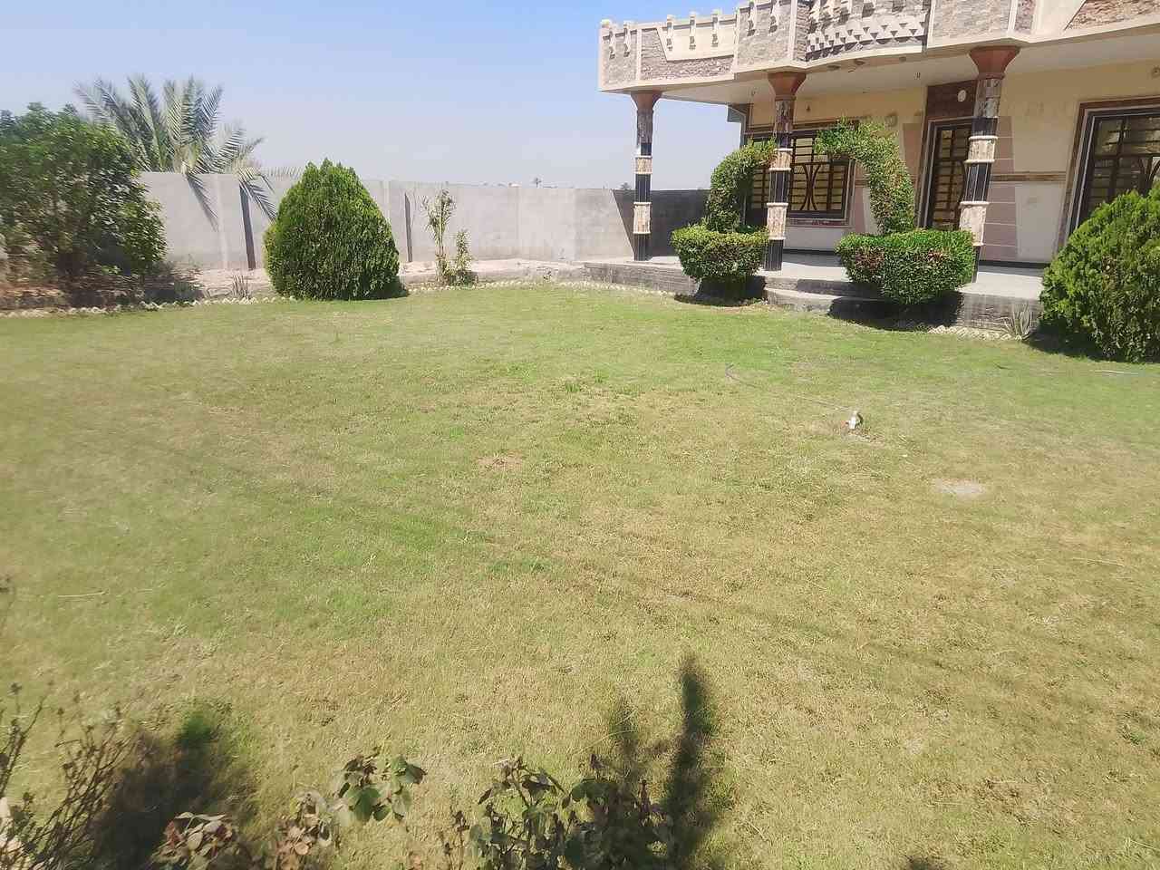 يتاليوسفية معمل زينب شارع وزير يوجد بيت يجار متوفر ماء وكهرباء وسحب ومادرس وتبليط لباب لبيت***********
