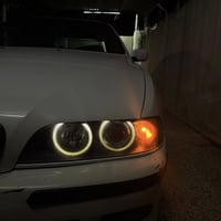 لايتات هيلا • اصليات • عليها فطر