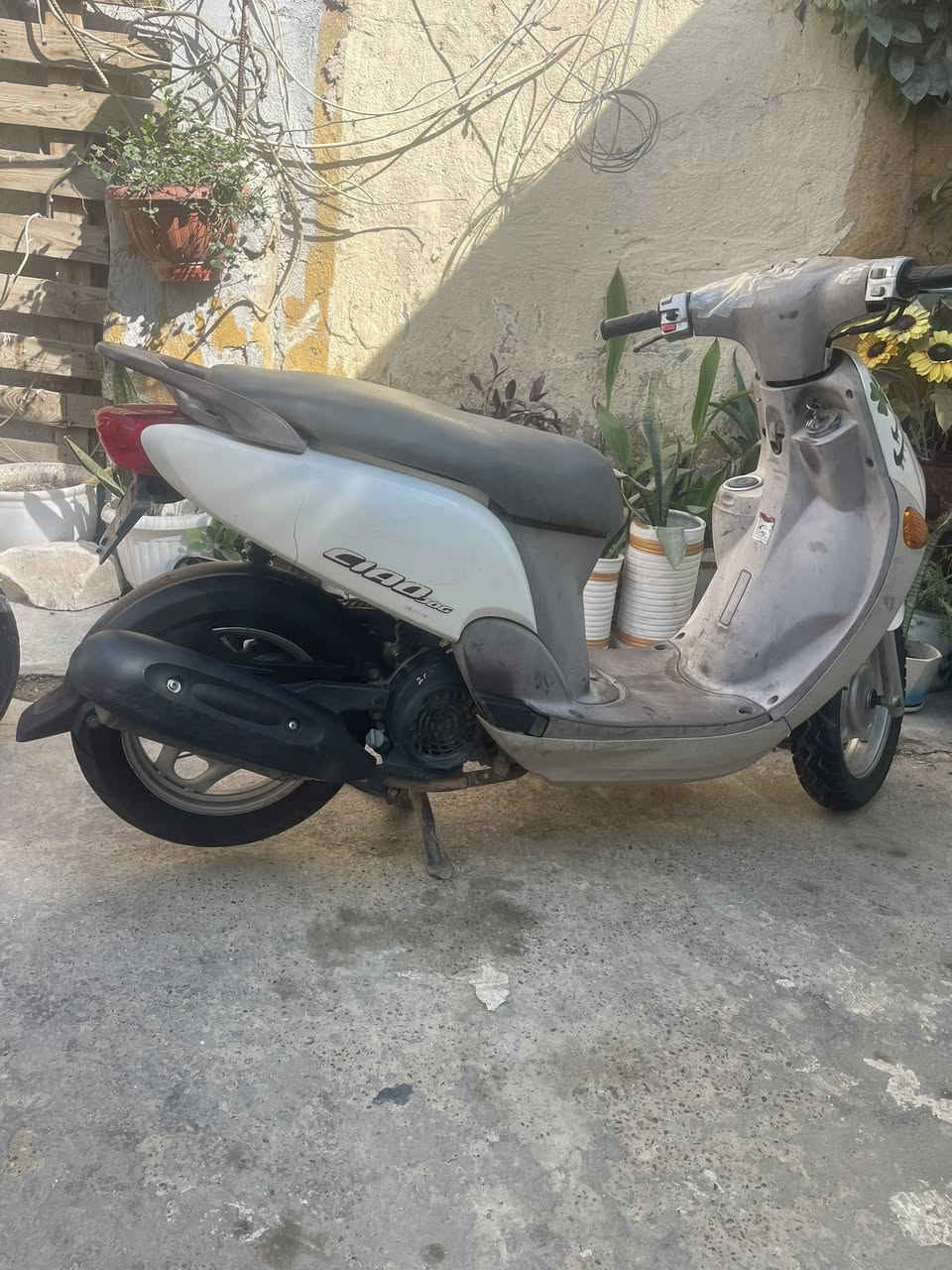 السلام عليكم دراجه فله للبيع مكينه برغي ما مفتوح بيها دراجه نكره وحده لا تاخير ولا نضوح ولا تبخير دراجه معدلها يخبل بيها نقوصات بسيطه جامه مال دشبول  وكلج امامي تعبان وقمجي كيلو متر فقط 
السعر ٨٠٠ وبيها مجال حك لجيه 
العنوان بغداد حي اور
***********
