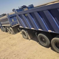 حاضرين عل نقل و تسويق من ٤٥ الي ٥٠ طن  07838600515