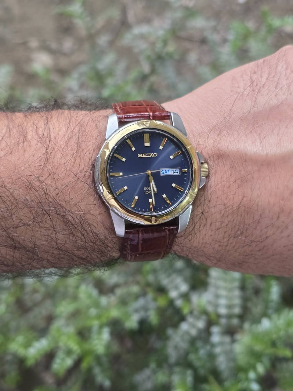 #السعر_خاص_لطفا 
ساعة Seiko Core Solar الموديل SNE102.
تعمل بالطاقة الشمسية (Solar)
ميناء أزرق "Sunburst" 
نافذ لليوم والتاريخ عند الساعة 3
الهيكل: مصنوع من الفولاذ المقاوم للصدأ بلونين (فضي وذهبي)
قطر الساعه 39ملم 
حزام جلدي بني كلاسيكي
مقاومة للماء حتى عمق 100م
مناسبة للسباحة السطحية ولكن ليس للغوص العميق
ابلادية بالكامل 
نظافه تامه


**إذا كنت صاحب هذا الإعلان وتريد حذفه لأي سبب، رجاءا أرسل رسالة إلى الدعم الفني**