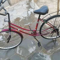 دراجة • كوفه • ٥٠