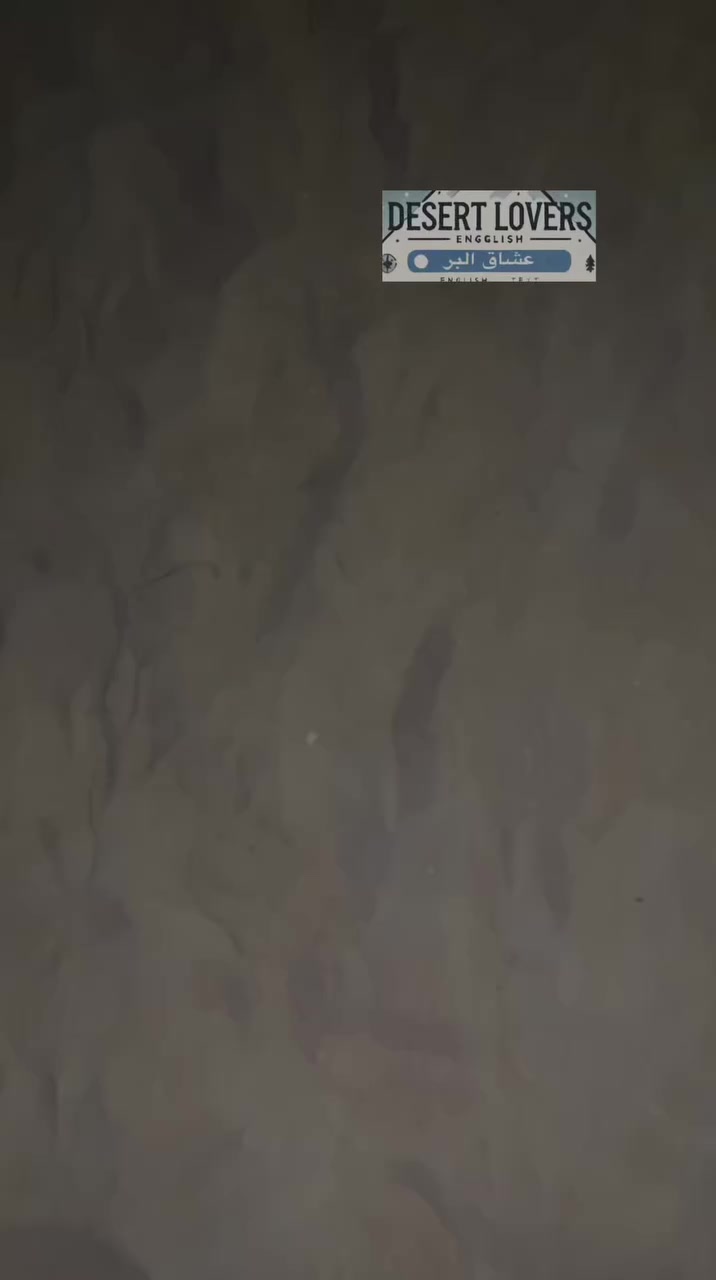 خيمة نفخ القياس الكبير 
٨ - ١٠ نفر 
مقاومة للماء ☔️ مقاومة للرياح 💨عاكسة لاشعة الشمس ☀️
بانورما مع فتحة مدخنة مع شبابيك تحتوي على ناموسية مانع الحشرات 
محتويات 
- ستدات تثبيت بالارض
- احبال تثبيت 
- منفاخ يدوي كبير 
- حقيبة حمل 
القياس 
الطول  ٤ متر 
العرض ٣ متر 
الارتفاع ٢ متر 

السعر 500 الف 
يوجد توصيل لجميع انحاء العراق


**إذا كنت صاحب هذا الإعلان وتريد حذفه لأي سبب، رجاءا أرسل رسالة إلى الدعم الفني**