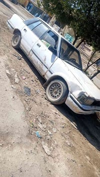 موديل ١٩٨٥ • تسقيط • شرط جديد