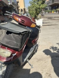 منغولي • شغالة • كربلاء