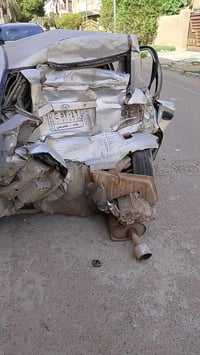 فيرنا • مضروبة • الدورة