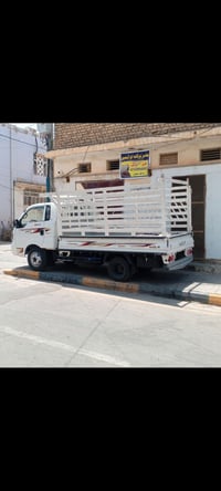 محجر • نضيف كلش • كوت