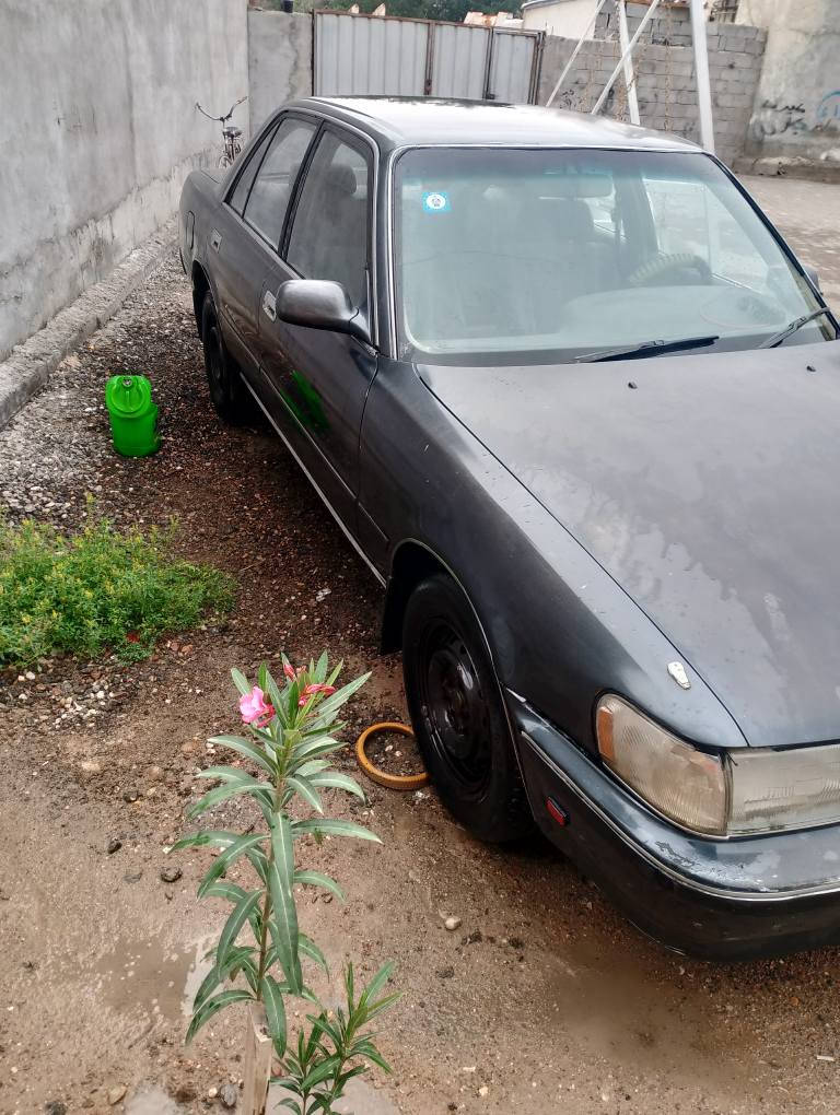 مارك تكم سياره كفاله من كل شي سنويه لل30 مكان بصره أبو الخصيب سعر 48مجال بسيط***********
