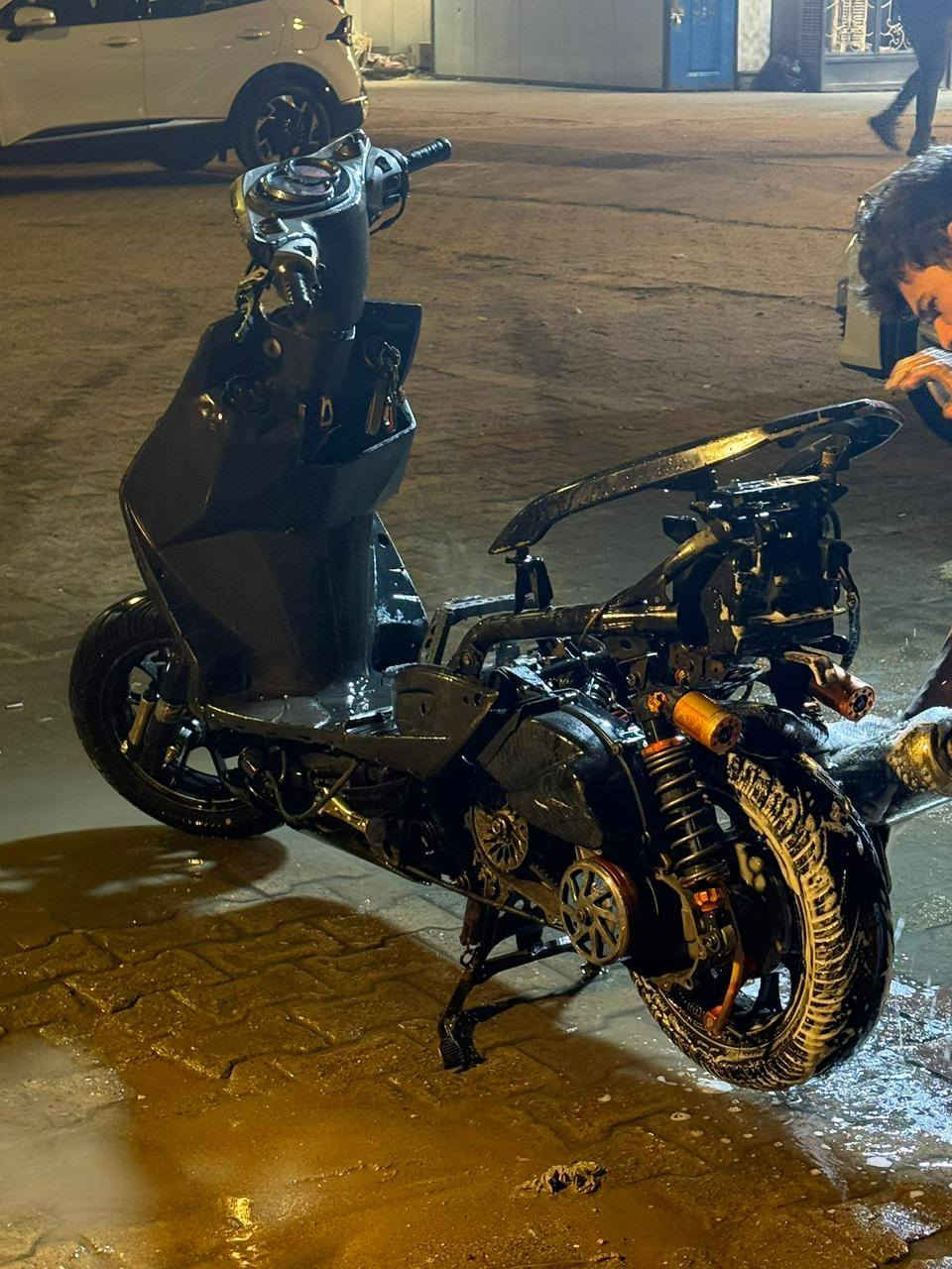 سكنس فحل للبيع كامله نقصه بس بجم وسن كور مسحوك السعر خاص ورقمك***********
